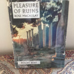 Pleasure of ruuins