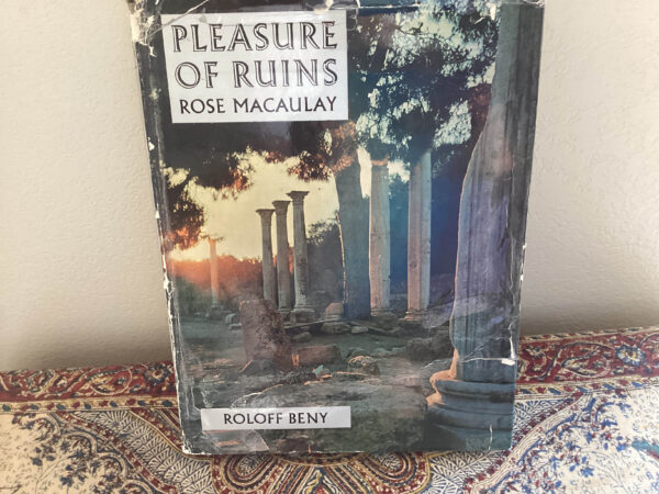 Pleasure of ruuins
